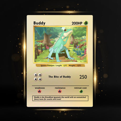 Metal Card Collection