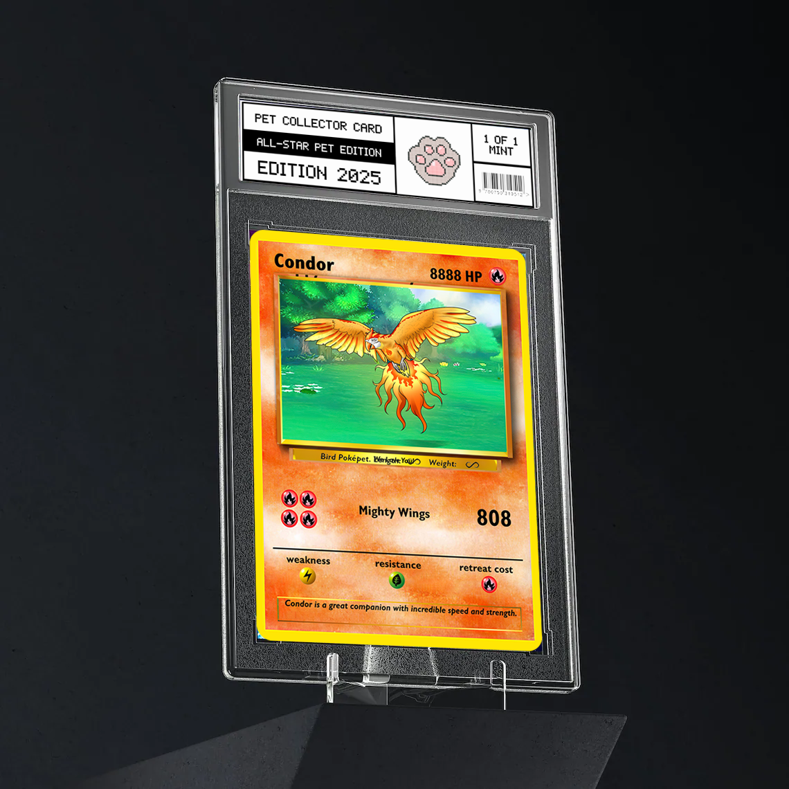 Pokepet